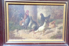 KODAK Digital Still Camera