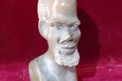 KODAK Digital Still Camera